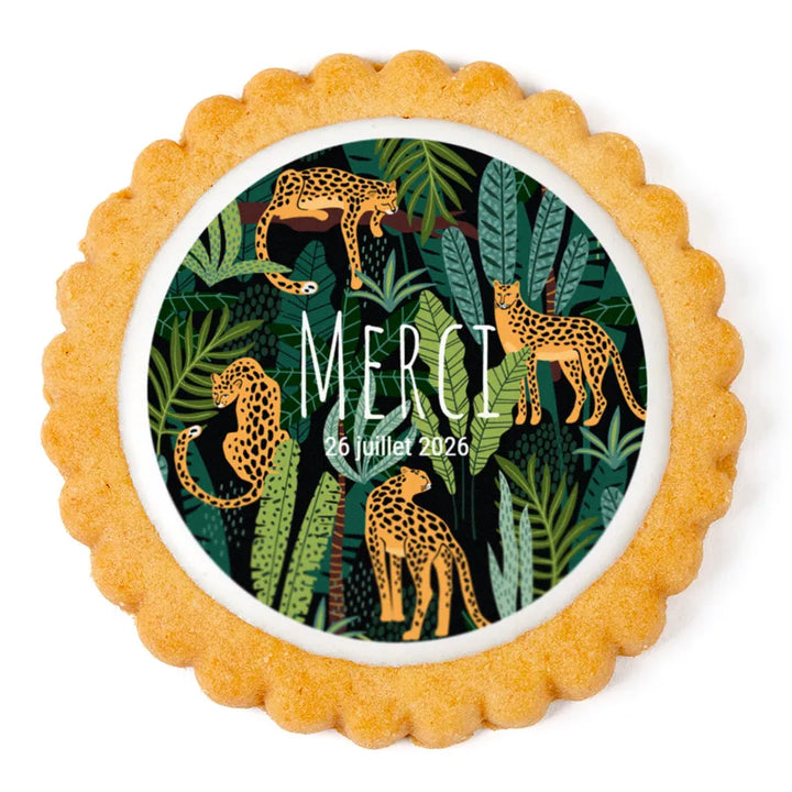 Biscuit - Jungle